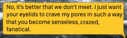 a grindr text that reads: 'No, it's better that we don't meet. I just want your eyelids to crave my pores in such a way that you become senseless, crazed, fanatical.'